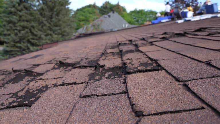 Roof Insulation in Parker, TX